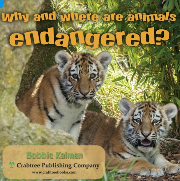 The cover of Why and Where Are Animals Endangered? by Bobbie Kalman, with two tiger cubs sitting in the grass